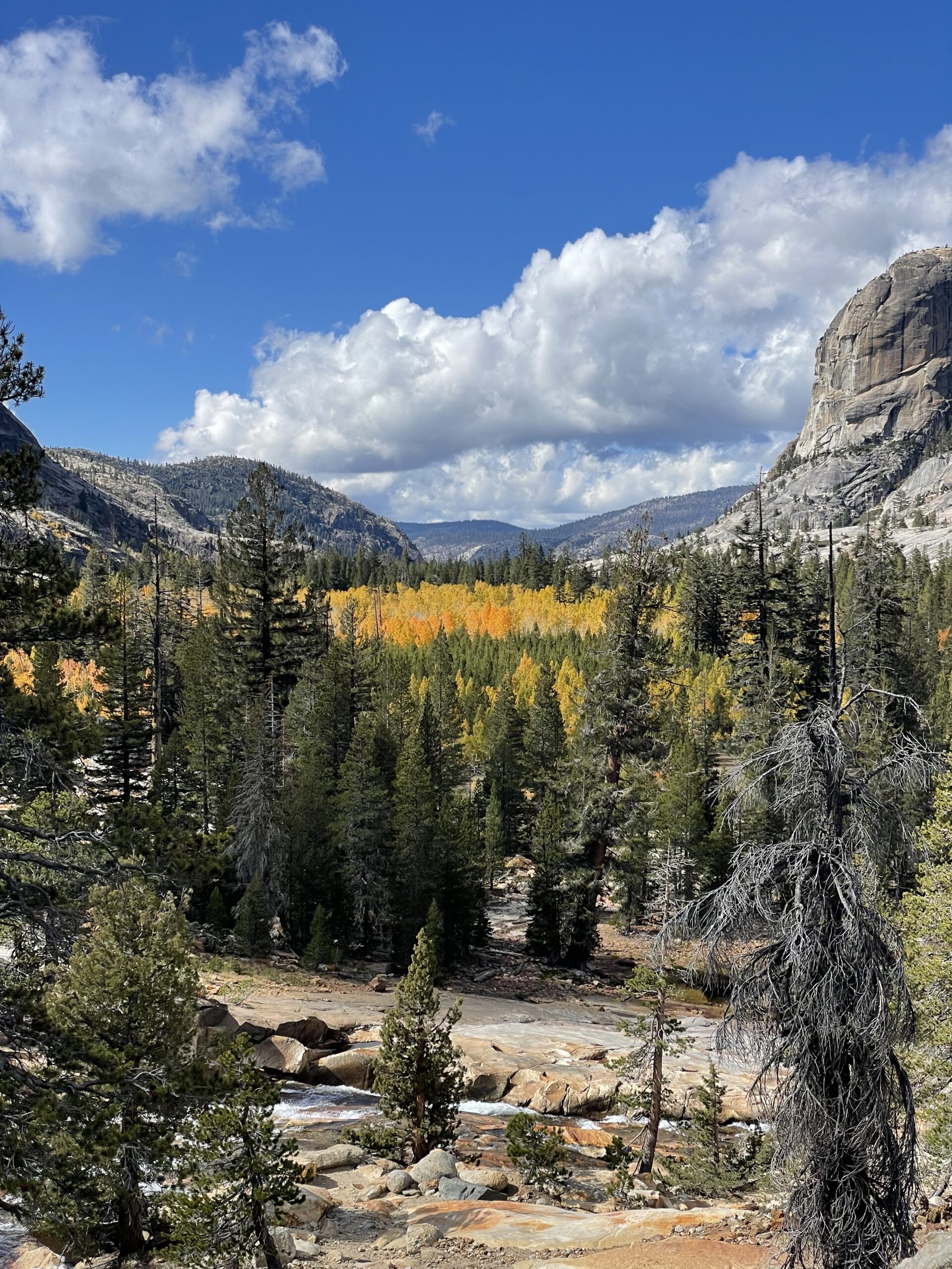 Mountain lake reflection