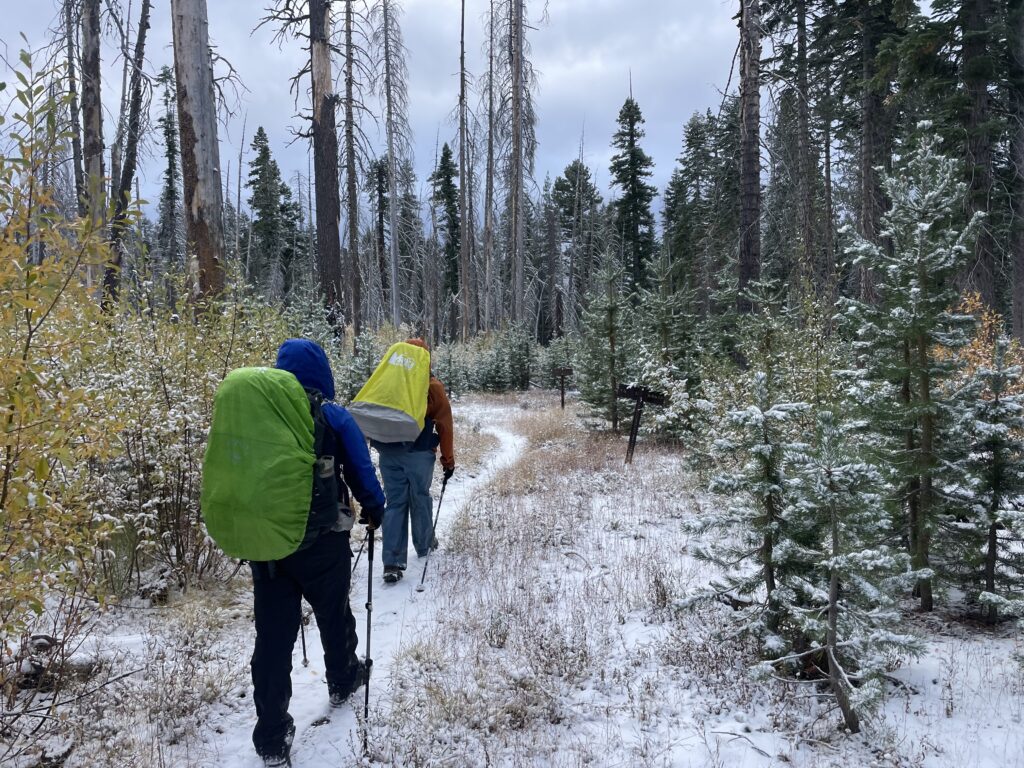 Trail through wilderness